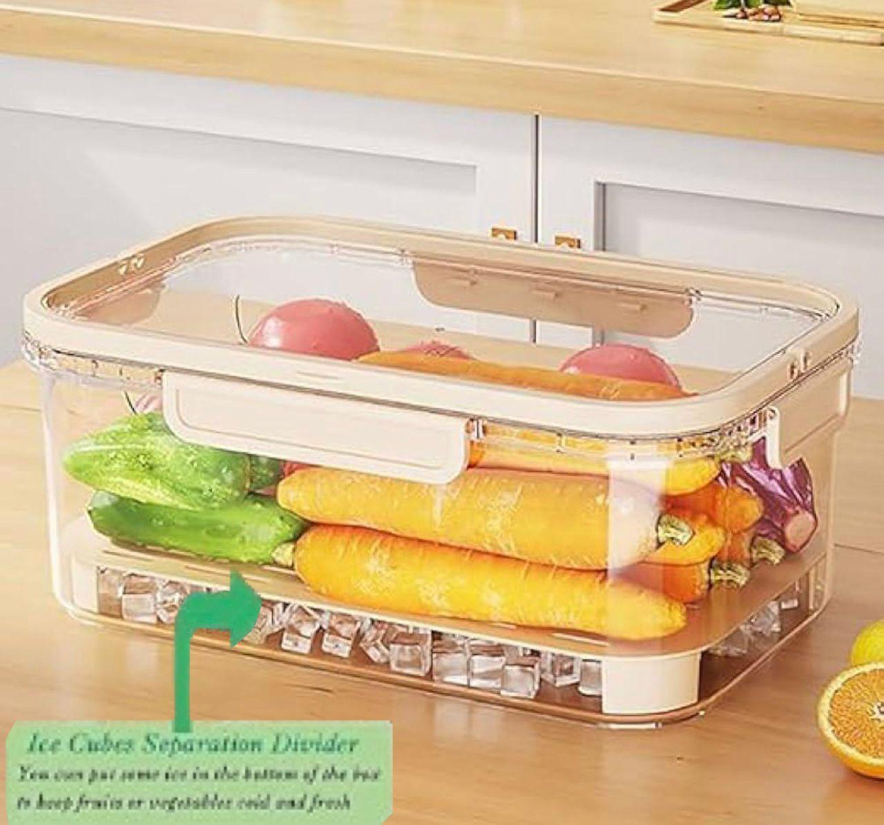 fresh keeping box with ice pack fresh keeping box with ice pack