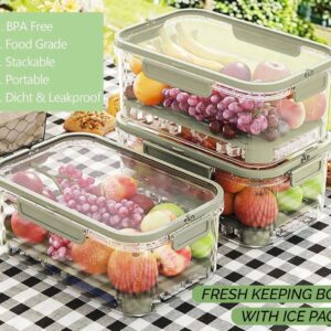 fresh keeping box with ice pack