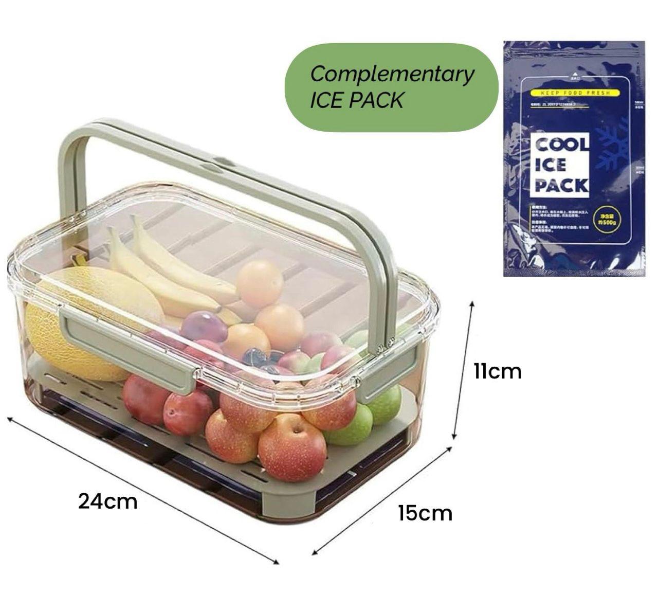 fresh keeping box with ice pack fresh keeping box with ice pack