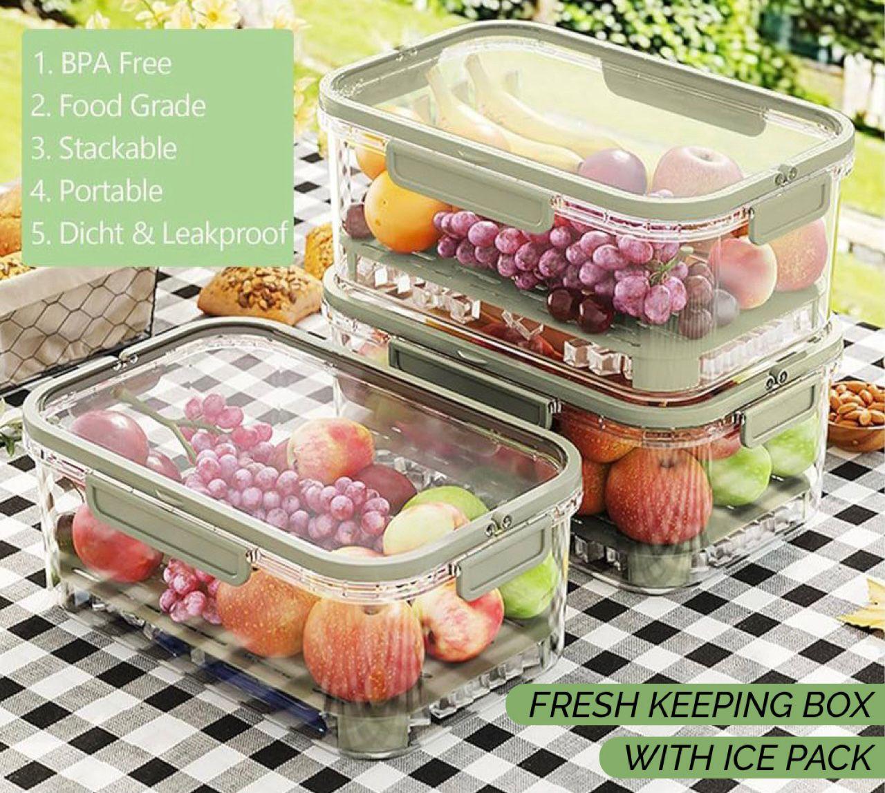 fresh keeping box with ice pack fresh keeping box with ice pack